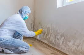 Mold Odor Removal Services in Big Lake, MN